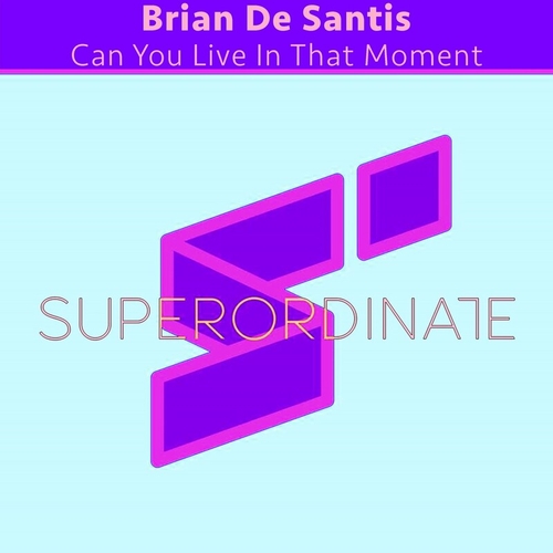 Brian De Santis - Can You Live in That Moment [SUPER438]